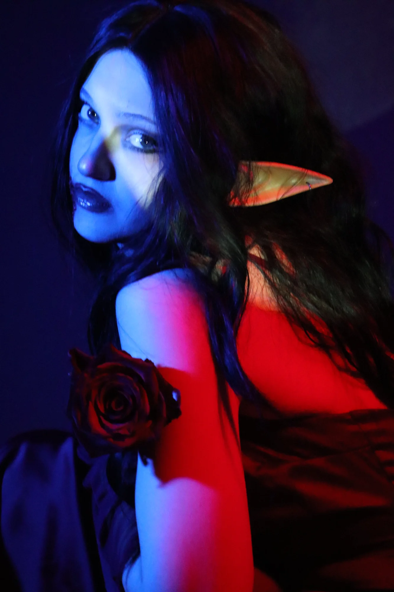 Vampire Set 2025