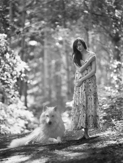 Import z MaxModels