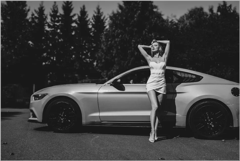 Import z MaxModels
