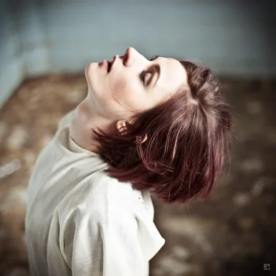Import z MaxModels