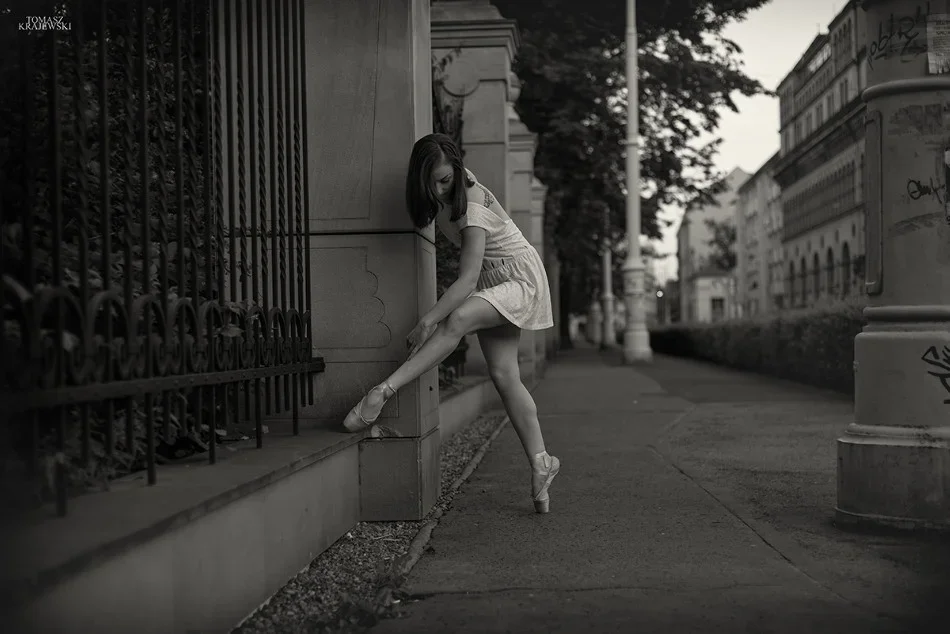 Import z MaxModels