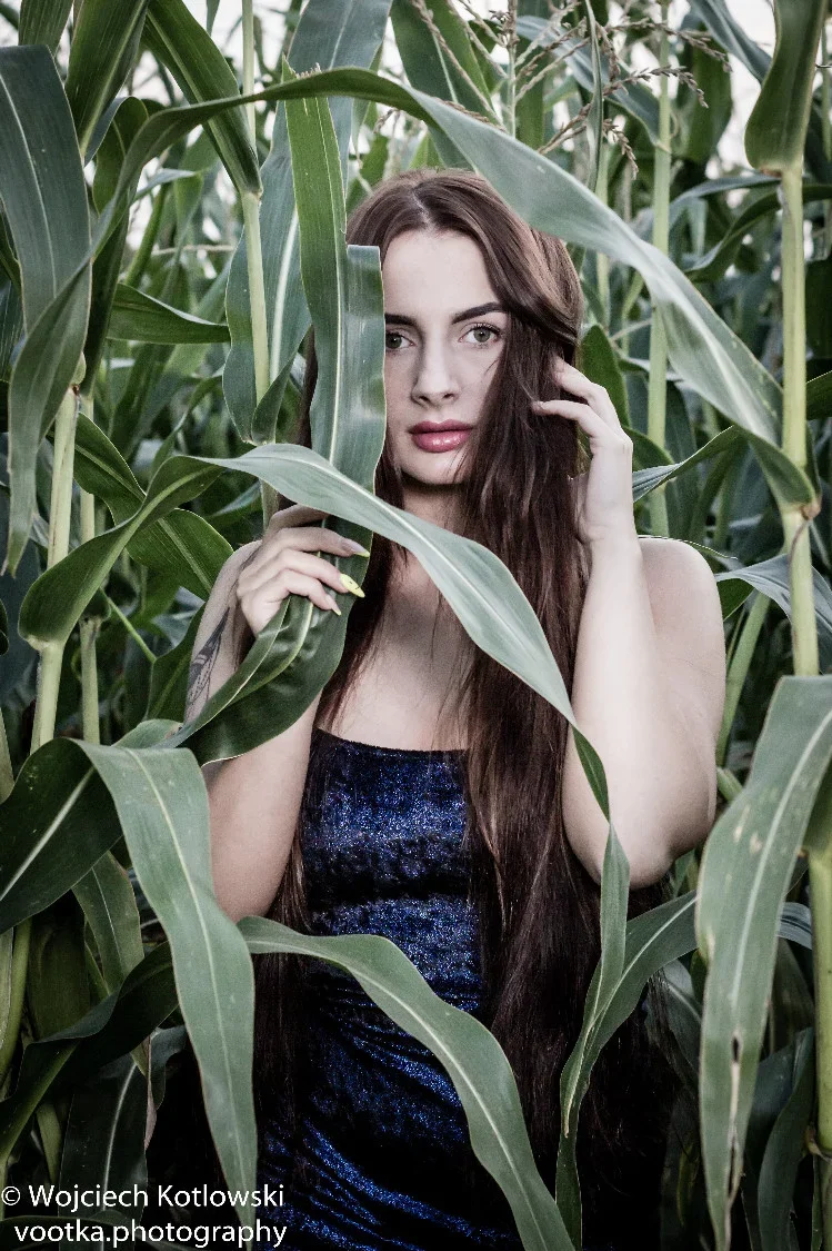 Import z MaxModels