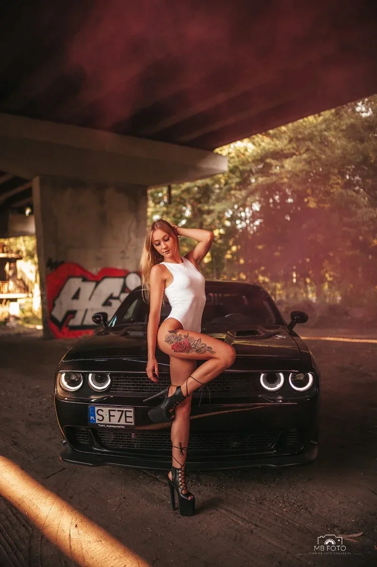 Import z MaxModels
