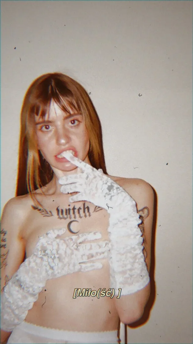 Import z MaxModels