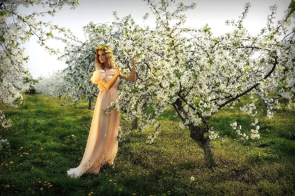 Import z MaxModels