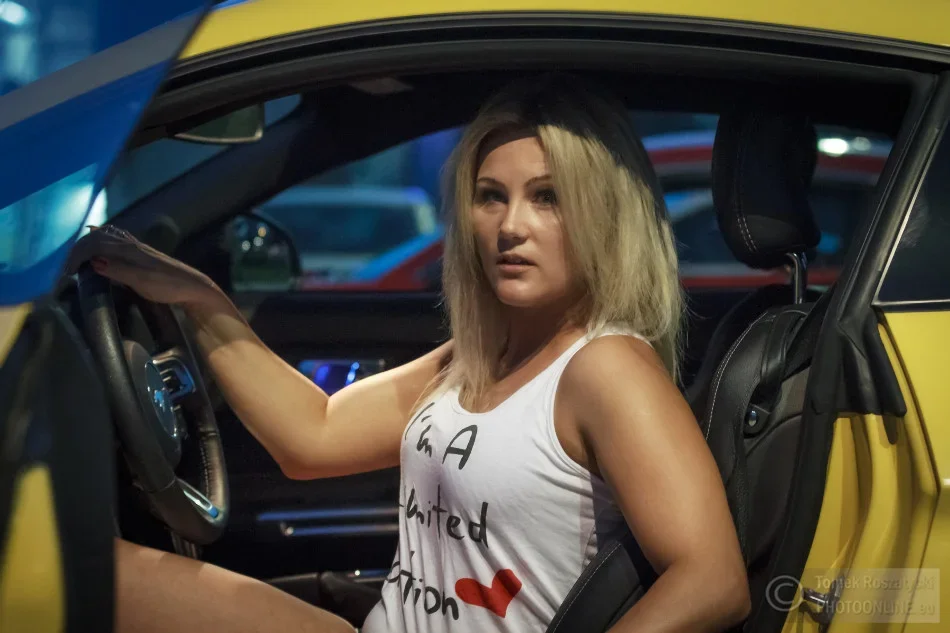 Import z MaxModels