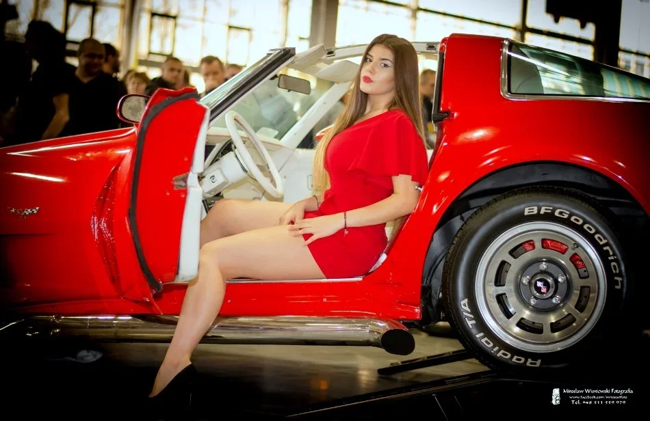 Import z MaxModels
