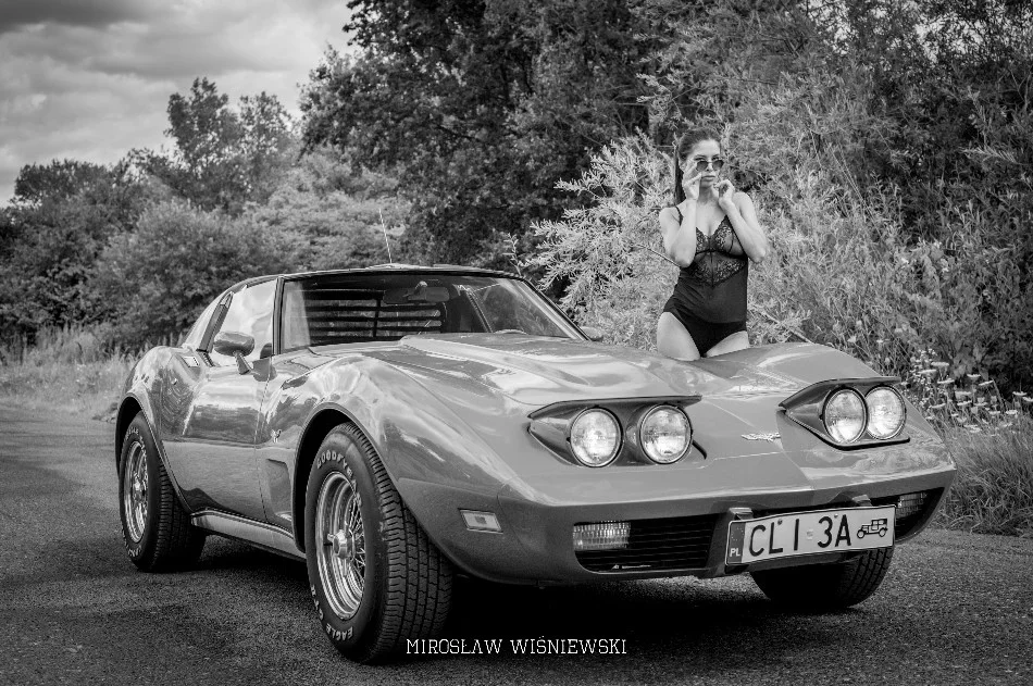 Import z MaxModels