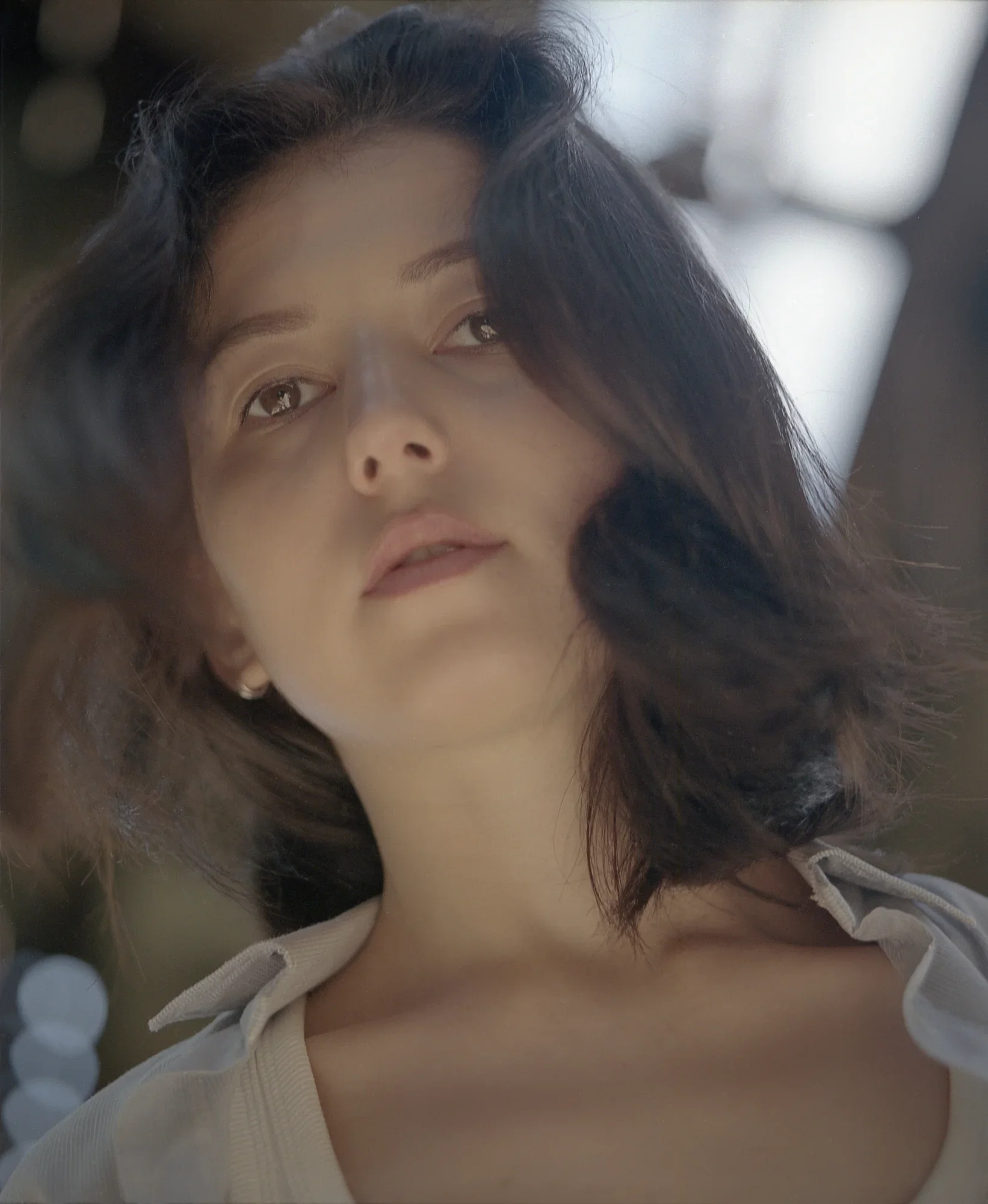 Eugenia / 2026