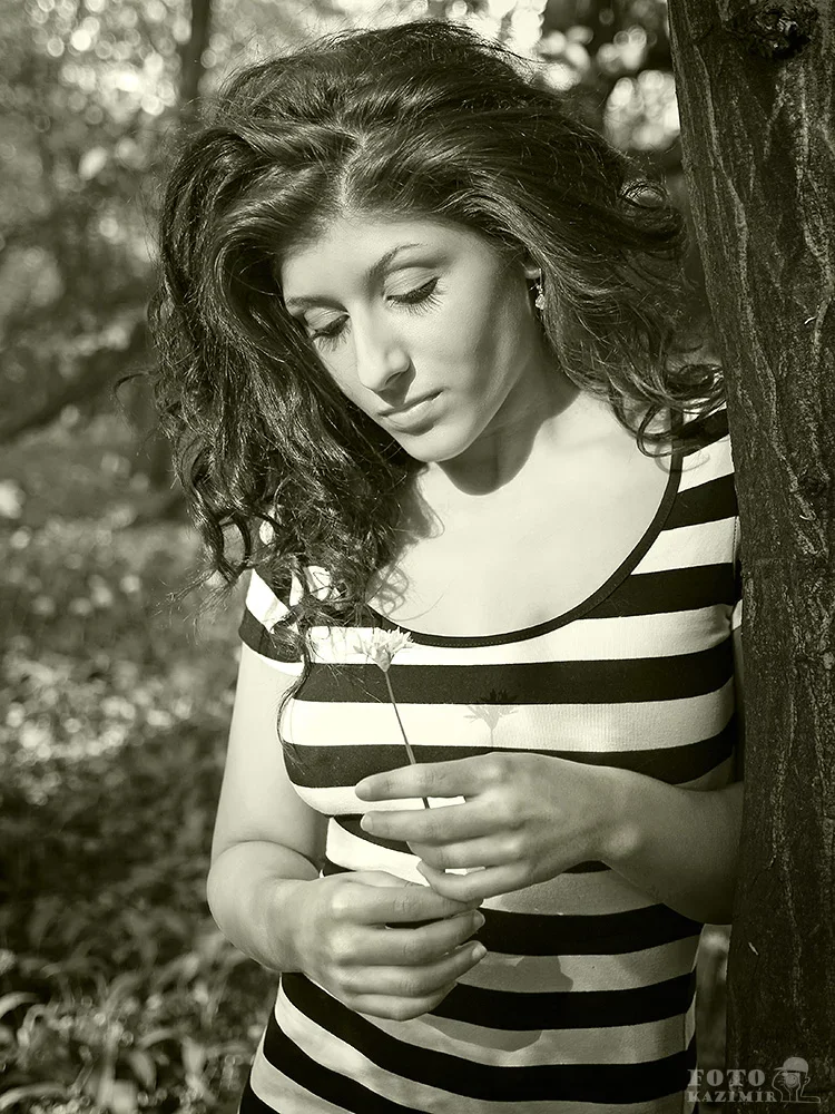 Import z MaxModels