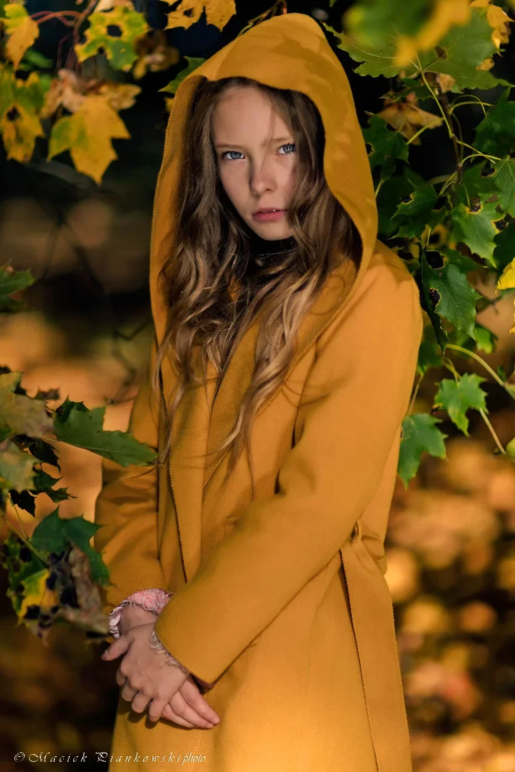 Import z MaxModels