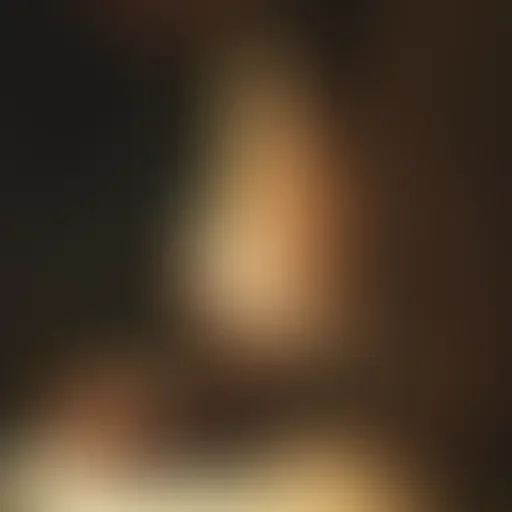 janlens