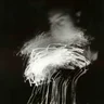 adam_foto