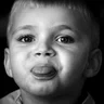 FOTOFOREST